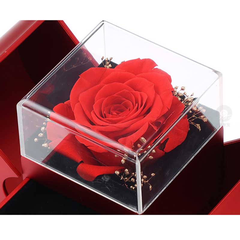 Emi and June | White Gold Necklace - With Real Rose - To My Love